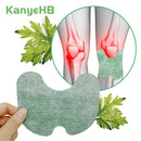 kit 10 Adesivos Emplasto Alívio De Dores - KAnyeHB