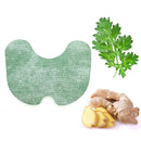 kit 10 Adesivos Emplasto Alívio De Dores - KAnyeHB